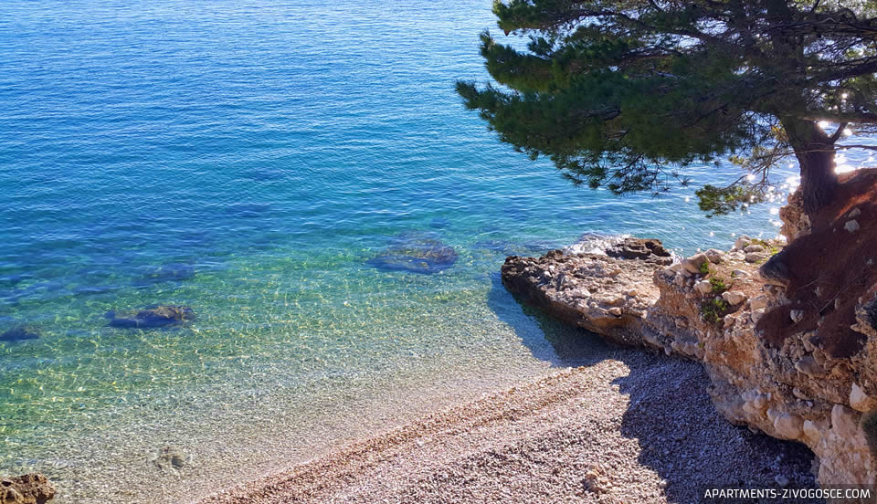 Živogošće Blato plaža Dole
